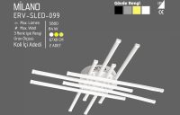 ERV-099 - Görsel 2