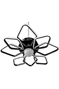 ERV-084